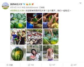 各高校吃瓜网站,揭秘各大校园吃瓜网站热点事件盘点 第1张 各高校吃瓜网站,揭秘各大校园吃瓜网站热点事件盘点 第1张